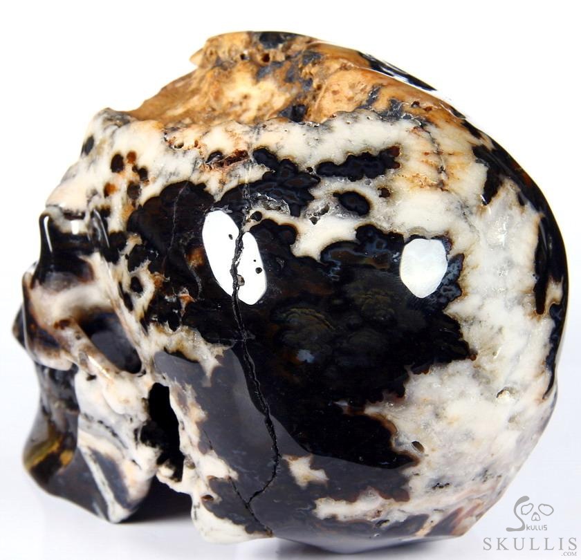 Huge 5.3" Black Zebra Agate Carved Crystal Skull Huge 5.3" Black Zebra Agate Carved Crystal Skull