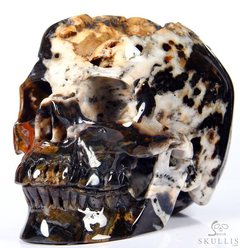Huge 5.3" Black Zebra Agate Carved Crystal Skull Huge 5.3" Black Zebra Agate Carved Crystal Skull