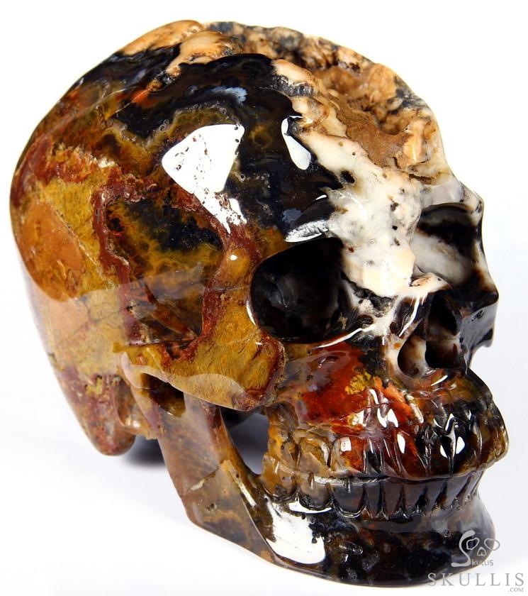 Huge 5.3" Black Zebra Agate Carved Crystal Skull Huge 5.3" Black Zebra Agate Carved Crystal Skull