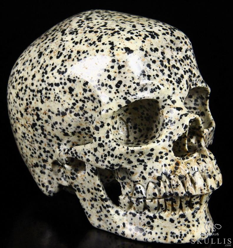 Huge 5.1" Dalmatian Jasper Carved Crystal Skull, Super Realistic Huge 5.1" Dalmatian Jasper Carved Crystal Skull, Super Realistic