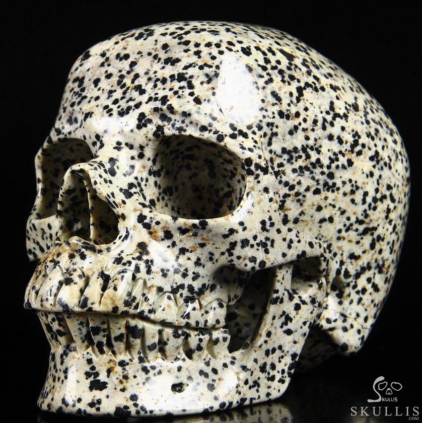 Huge 5.1" Dalmatian Jasper Carved Crystal Skull, Super Realistic Huge 5.1" Dalmatian Jasper Carved Crystal Skull, Super Realistic