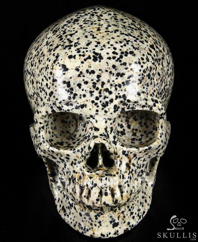 Huge 5.1" Dalmatian Jasper Carved Crystal Skull, Super Realistic Huge 5.1" Dalmatian Jasper Carved Crystal Skull, Super Realistic
