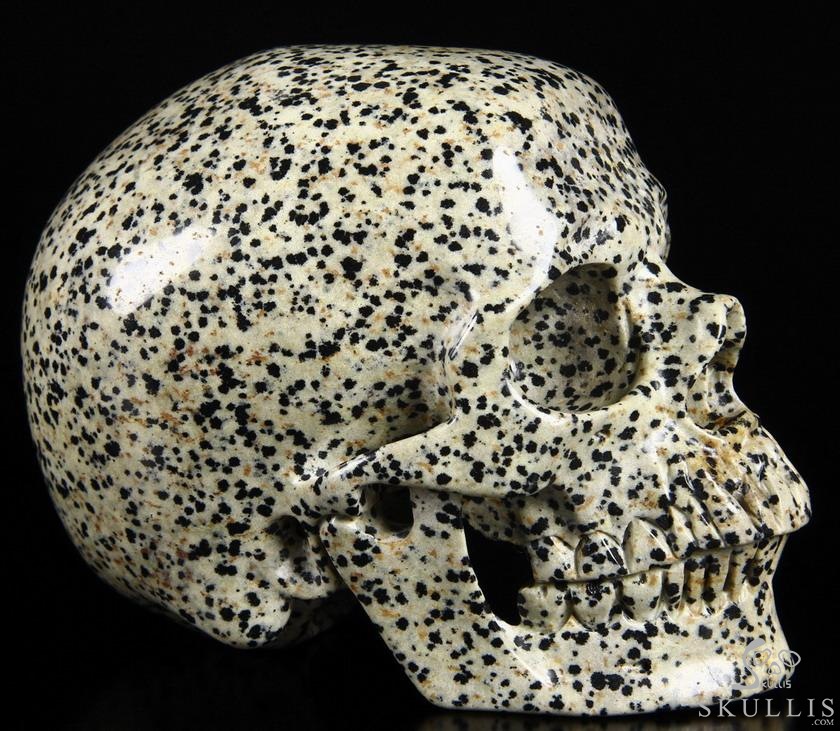 Huge 5.1" Dalmatian Jasper Carved Crystal Skull, Super Realistic Huge 5.1" Dalmatian Jasper Carved Crystal Skull, Super Realistic