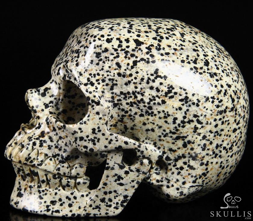 Huge 5.1" Dalmatian Jasper Carved Crystal Skull, Super Realistic Huge 5.1" Dalmatian Jasper Carved Crystal Skull, Super Realistic