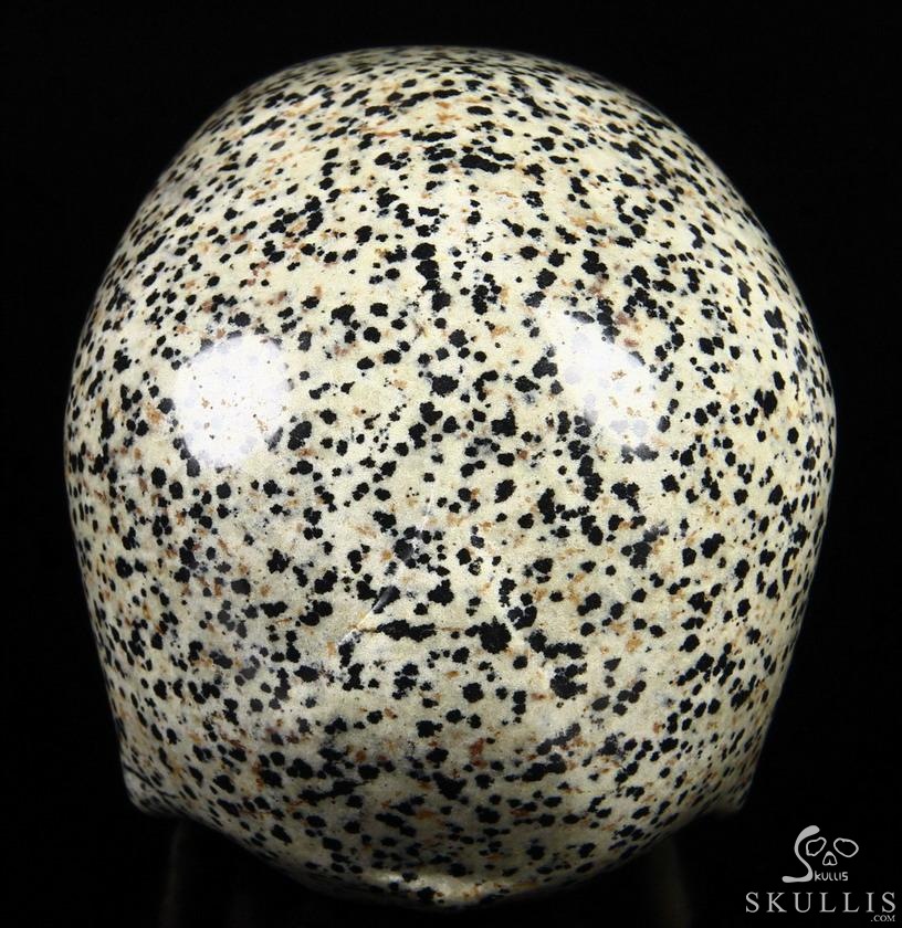 Huge 5.1" Dalmatian Jasper Carved Crystal Skull, Super Realistic Huge 5.1" Dalmatian Jasper Carved Crystal Skull, Super Realistic