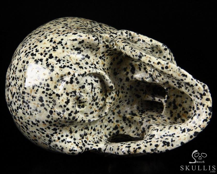 Huge 5.1" Dalmatian Jasper Carved Crystal Skull, Super Realistic Huge 5.1" Dalmatian Jasper Carved Crystal Skull, Super Realistic