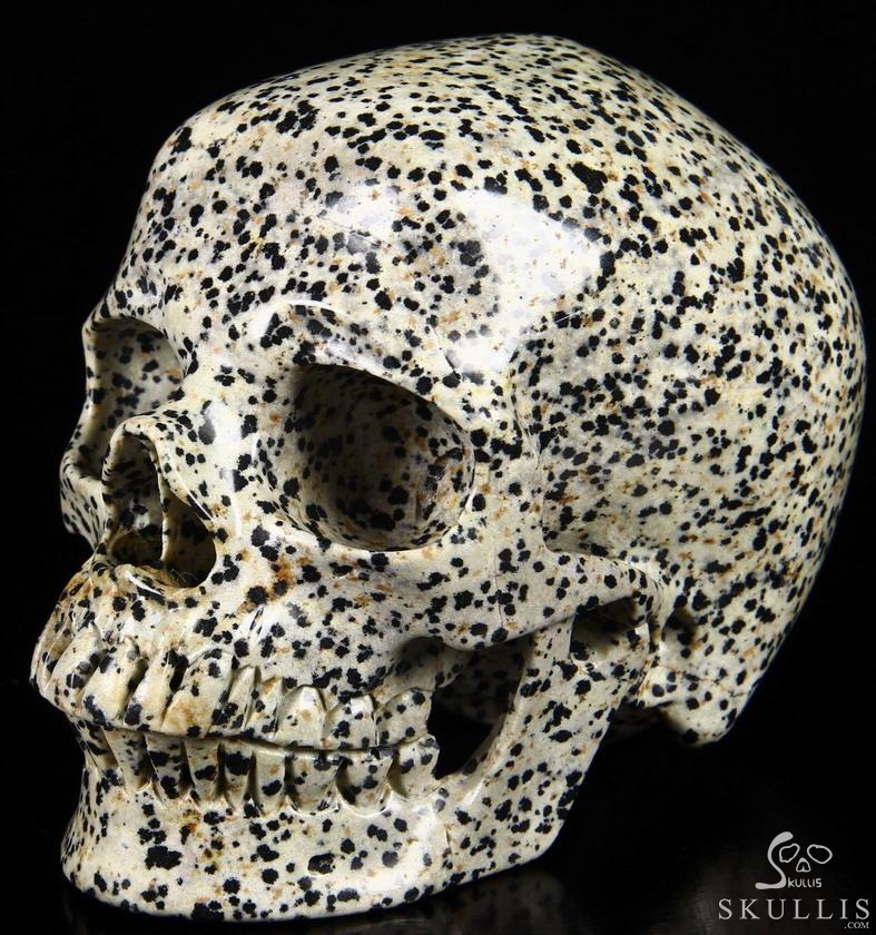 Huge 5.1" Dalmatian Jasper Carved Crystal Skull, Super Realistic Huge 5.1" Dalmatian Jasper Carved Crystal Skull, Super Realistic