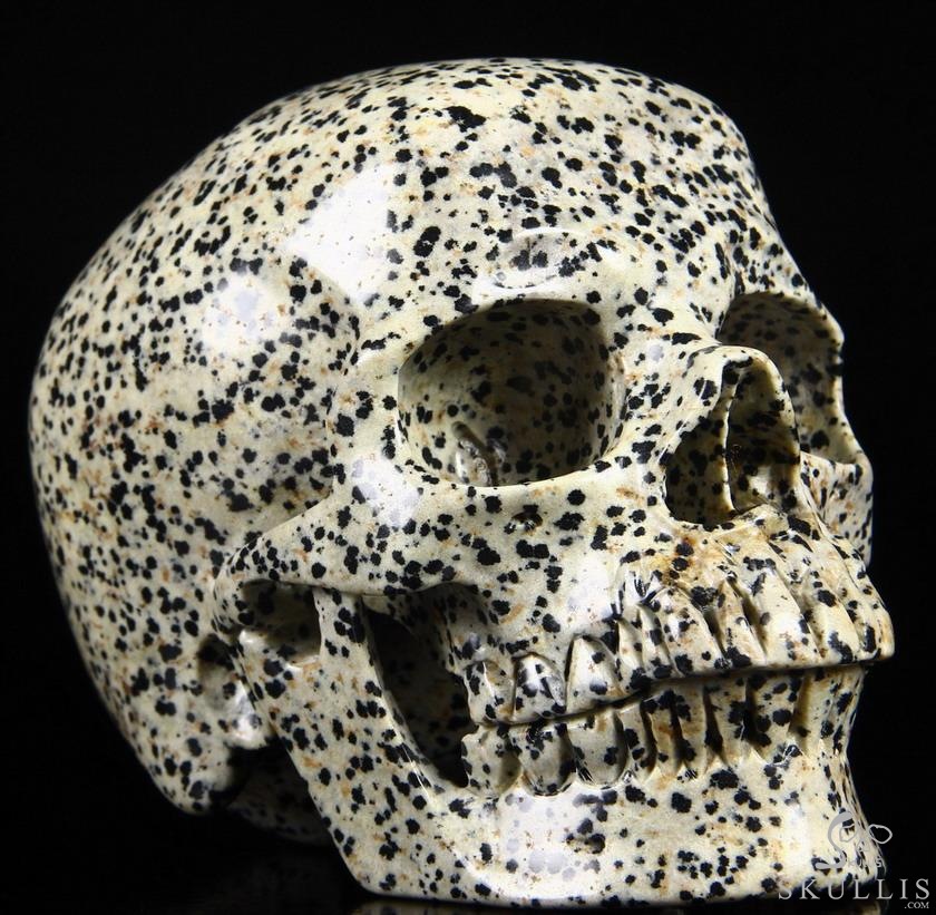 Huge 5.1" Dalmatian Jasper Carved Crystal Skull, Super Realistic Huge 5.1" Dalmatian Jasper Carved Crystal Skull, Super Realistic