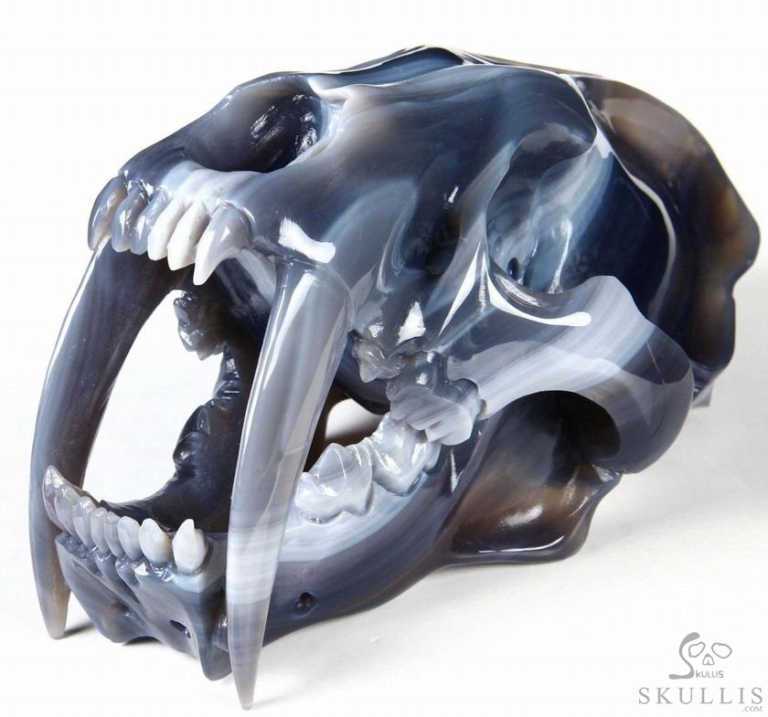 Huge 7.1" Grey & White Agate Carved Crystal Smilodon SABER-TOOTHED Tiger/Cat Skull Huge 7.1" Grey & White Agate Carved Crystal Smilodon SABER-TOOTHED Tiger/Cat Skull