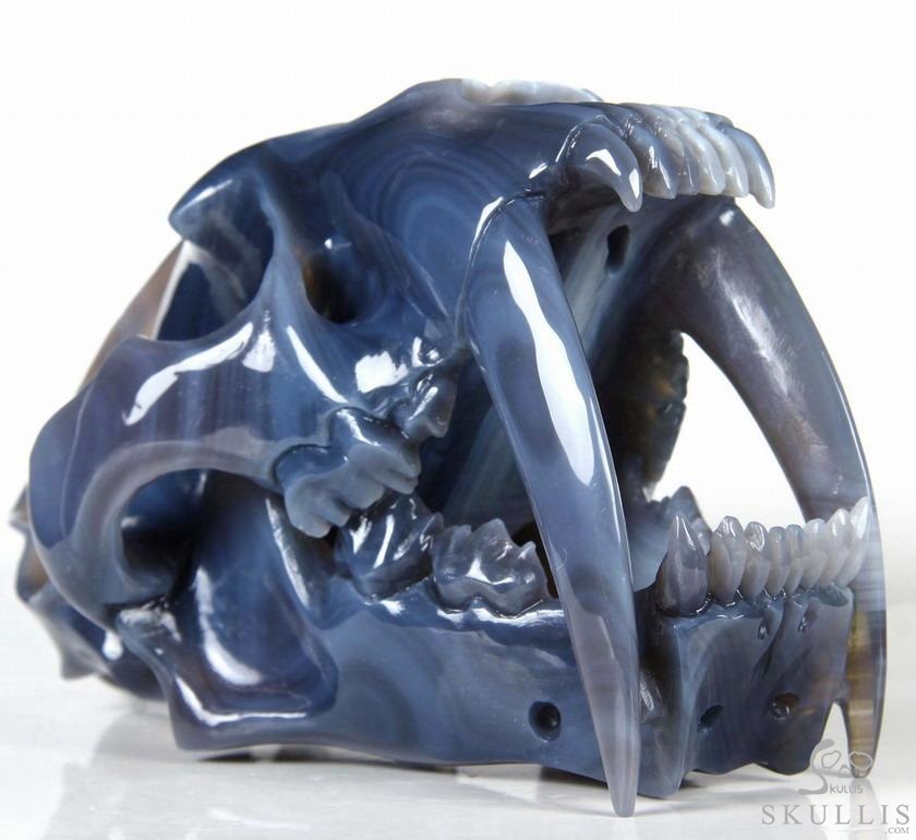 Huge 7.1" Grey & White Agate Carved Crystal Smilodon SABER-TOOTHED Tiger/Cat Skull Huge 7.1" Grey & White Agate Carved Crystal Smilodon SABER-TOOTHED Tiger/Cat Skull