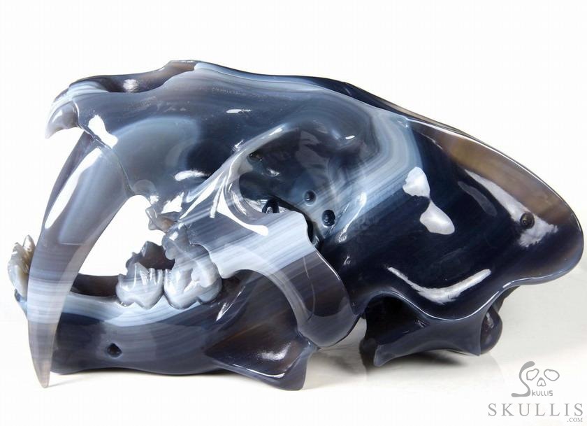 Huge 7.1" Grey & White Agate Carved Crystal Smilodon SABER-TOOTHED Tiger/Cat Skull Huge 7.1" Grey & White Agate Carved Crystal Smilodon SABER-TOOTHED Tiger/Cat Skull