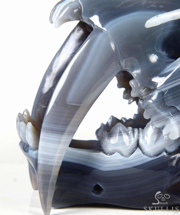 Huge 7.1" Grey & White Agate Carved Crystal Smilodon SABER-TOOTHED Tiger/Cat Skull Huge 7.1" Grey & White Agate Carved Crystal Smilodon SABER-TOOTHED Tiger/Cat Skull
