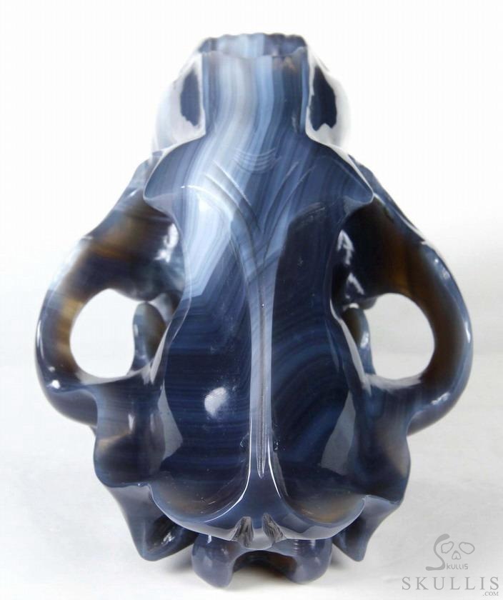 Huge 7.1" Grey & White Agate Carved Crystal Smilodon SABER-TOOTHED Tiger/Cat Skull Huge 7.1" Grey & White Agate Carved Crystal Smilodon SABER-TOOTHED Tiger/Cat Skull