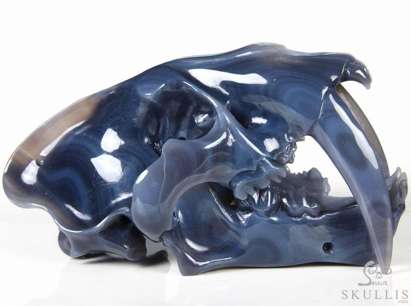 Huge 7.1" Grey & White Agate Carved Crystal Smilodon SABER-TOOTHED Tiger/Cat Skull Huge 7.1" Grey & White Agate Carved Crystal Smilodon SABER-TOOTHED Tiger/Cat Skull