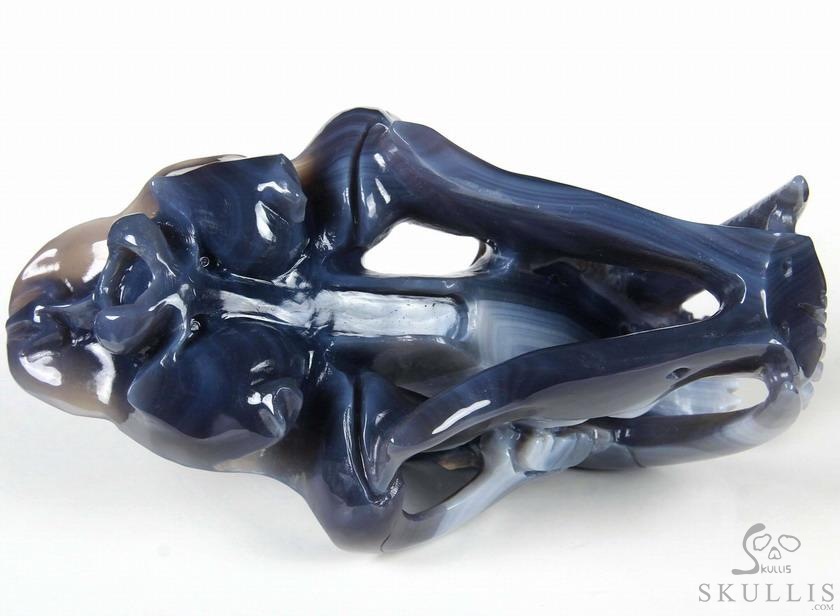 Huge 7.1" Grey & White Agate Carved Crystal Smilodon SABER-TOOTHED Tiger/Cat Skull Huge 7.1" Grey & White Agate Carved Crystal Smilodon SABER-TOOTHED Tiger/Cat Skull