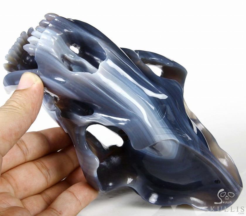 Huge 7.1" Grey & White Agate Carved Crystal Smilodon SABER-TOOTHED Tiger/Cat Skull Huge 7.1" Grey & White Agate Carved Crystal Smilodon SABER-TOOTHED Tiger/Cat Skull