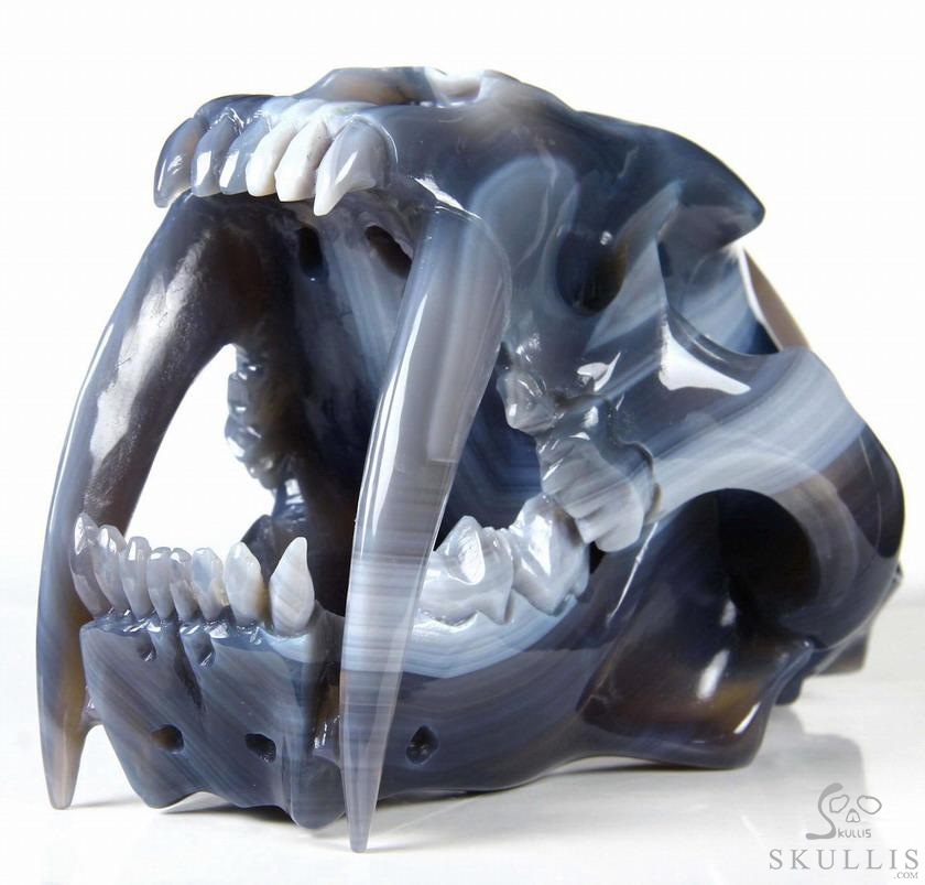 Huge 7.1" Grey & White Agate Carved Crystal Smilodon SABER-TOOTHED Tiger/Cat Skull Huge 7.1" Grey & White Agate Carved Crystal Smilodon SABER-TOOTHED Tiger/Cat Skull