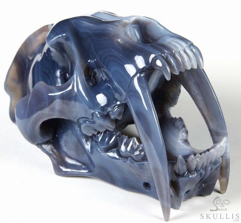 Huge 7.1" Grey & White Agate Carved Crystal Smilodon SABER-TOOTHED Tiger/Cat Skull Huge 7.1" Grey & White Agate Carved Crystal Smilodon SABER-TOOTHED Tiger/Cat Skull