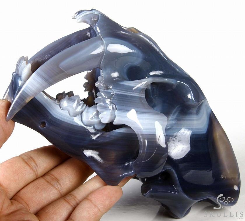 Huge 7.1" Grey & White Agate Carved Crystal Smilodon SABER-TOOTHED Tiger/Cat Skull Huge 7.1" Grey & White Agate Carved Crystal Smilodon SABER-TOOTHED Tiger/Cat Skull