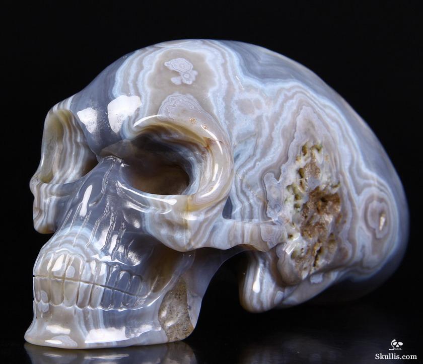 Nice Huge 7.2" Agate Carved Elongated Mayan Alien Crystal Skull Nice Huge 7.2" Agate Carved Elongated Mayan Alien Crystal Skull