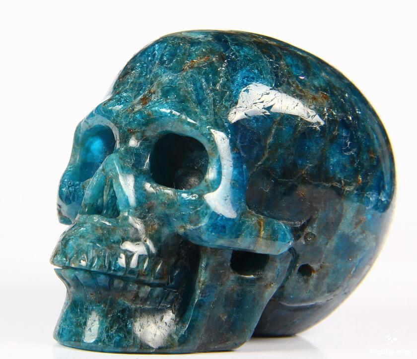 3個で！トリニティー スカル TRINITY SKULL 19.1