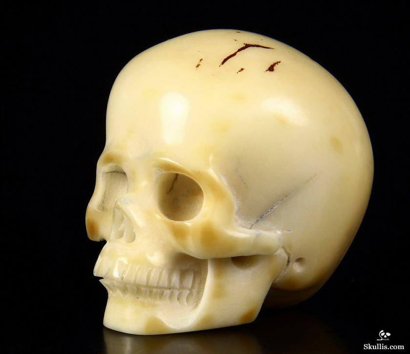 1.7" Tagua Nut Carved Crystal Skull 1.7" Tagua Nut Carved Crystal Skull