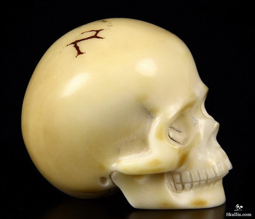 1.7" Tagua Nut Carved Crystal Skull 1.7" Tagua Nut Carved Crystal Skull