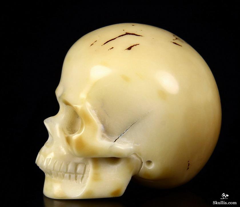 1.7" Tagua Nut Carved Crystal Skull 1.7" Tagua Nut Carved Crystal Skull