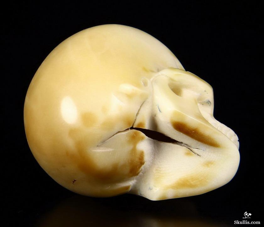 1.7" Tagua Nut Carved Crystal Skull 1.7" Tagua Nut Carved Crystal Skull