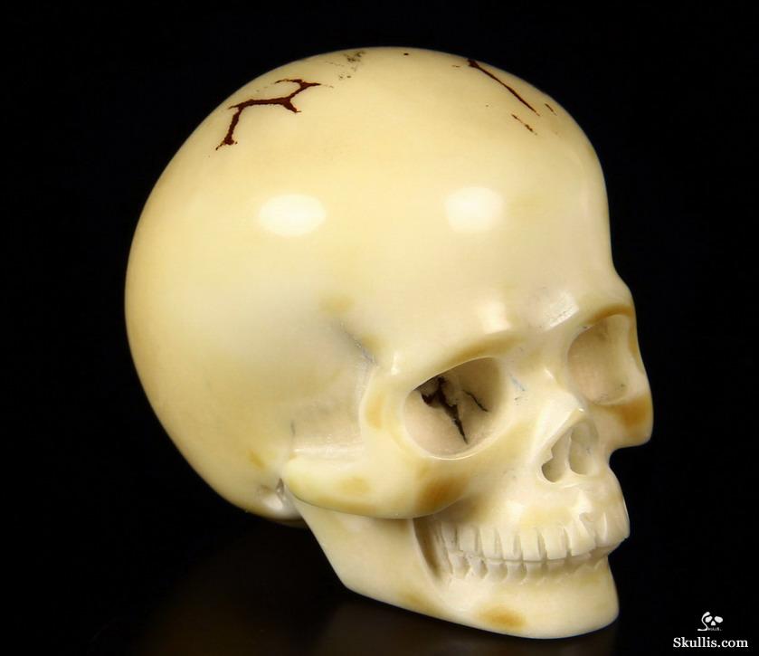 1.7" Tagua Nut Carved Crystal Skull 1.7" Tagua Nut Carved Crystal Skull