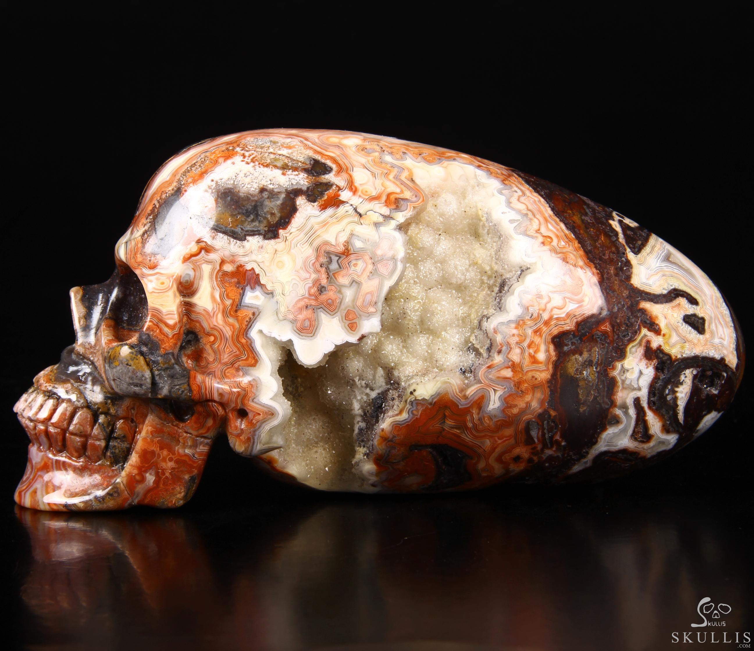 Stunning Huge 6.3" Crazy Lace Agate Carved Elongated Mayan Alien Crystal Skull, Crystal Healing Stunning Huge 6.3" Crazy Lace Agate Carved Elongated Mayan Alien Crystal Skull, Crystal Healing