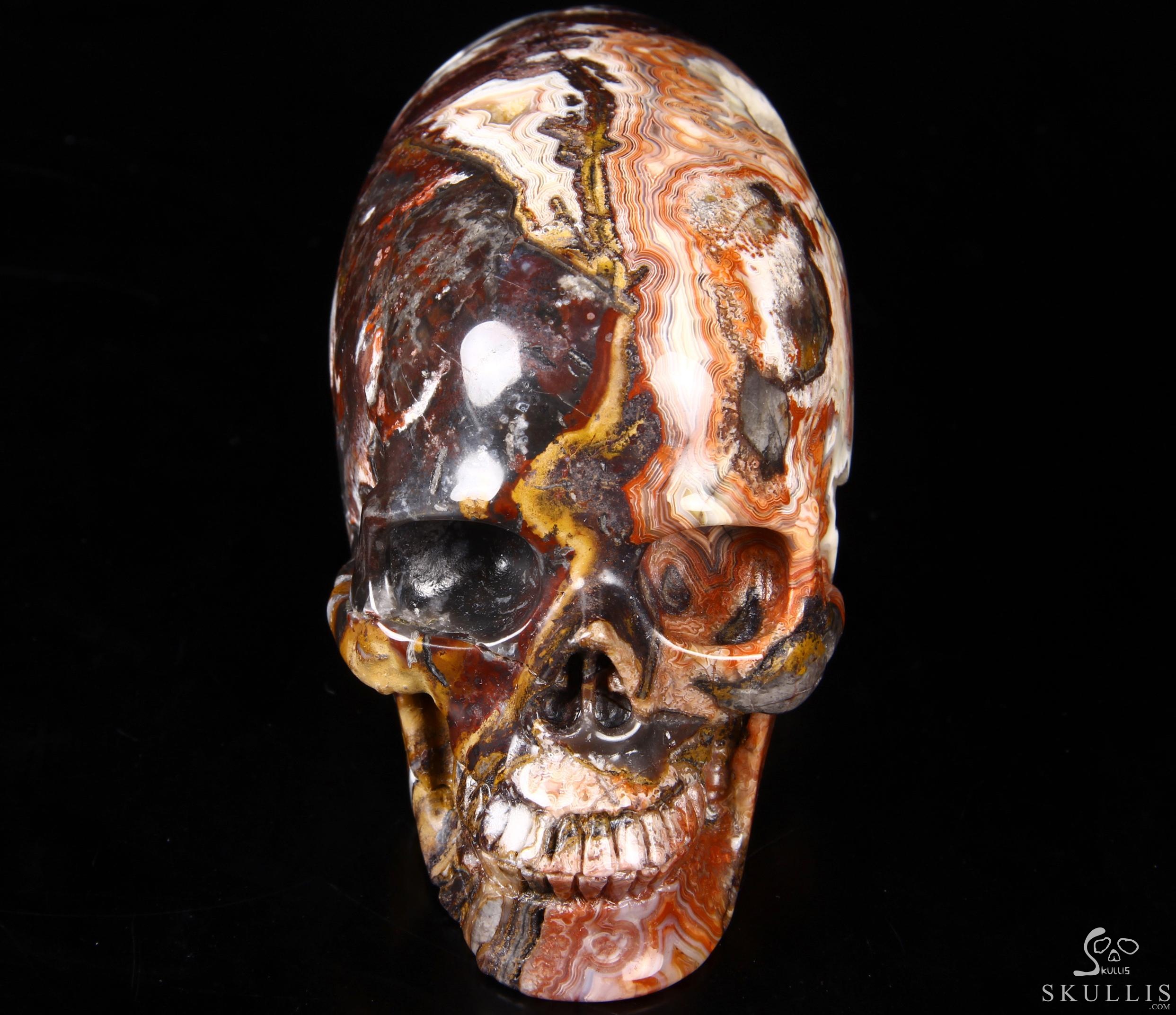 Stunning Huge 6.3" Crazy Lace Agate Carved Elongated Mayan Alien Crystal Skull, Crystal Healing Stunning Huge 6.3" Crazy Lace Agate Carved Elongated Mayan Alien Crystal Skull, Crystal Healing