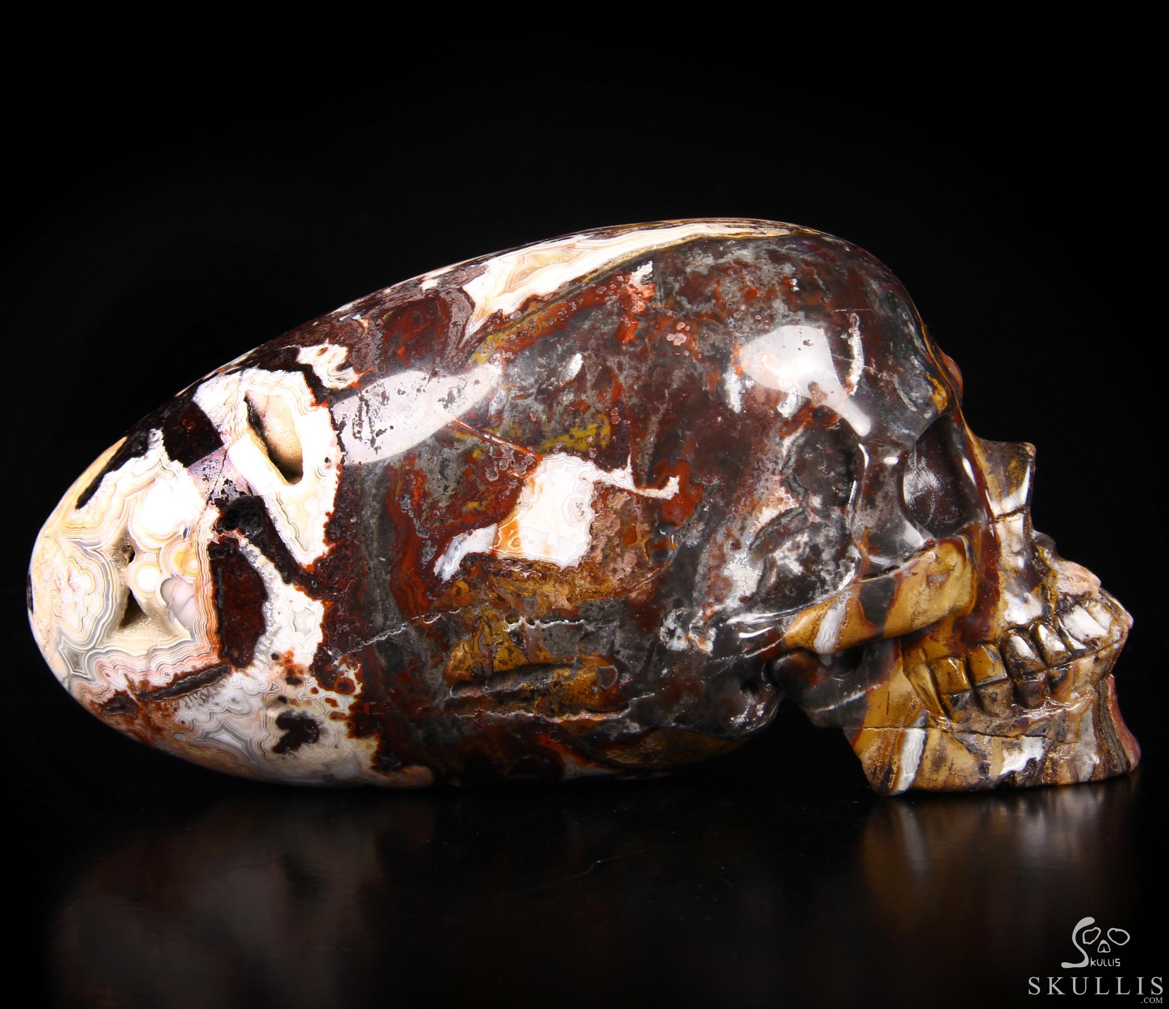 Stunning Huge 6.3" Crazy Lace Agate Carved Elongated Mayan Alien Crystal Skull, Crystal Healing Stunning Huge 6.3" Crazy Lace Agate Carved Elongated Mayan Alien Crystal Skull, Crystal Healing