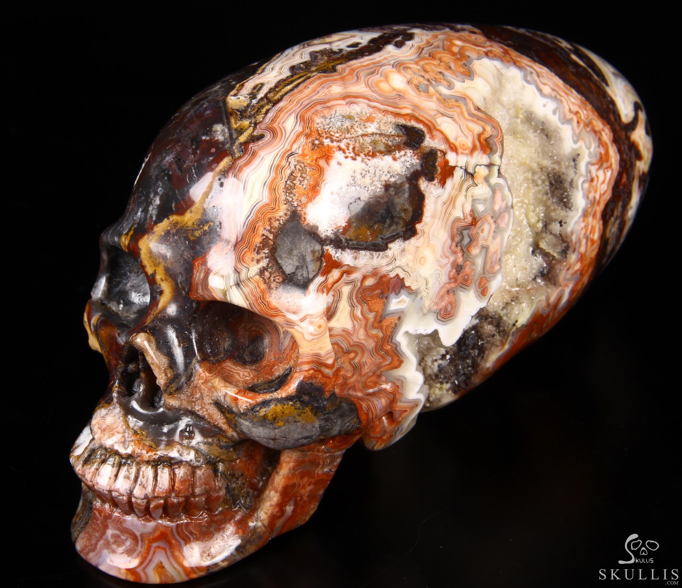 Stunning Huge 6.3" Crazy Lace Agate Carved Elongated Mayan Alien Crystal Skull, Crystal Healing Stunning Huge 6.3" Crazy Lace Agate Carved Elongated Mayan Alien Crystal Skull, Crystal Healing