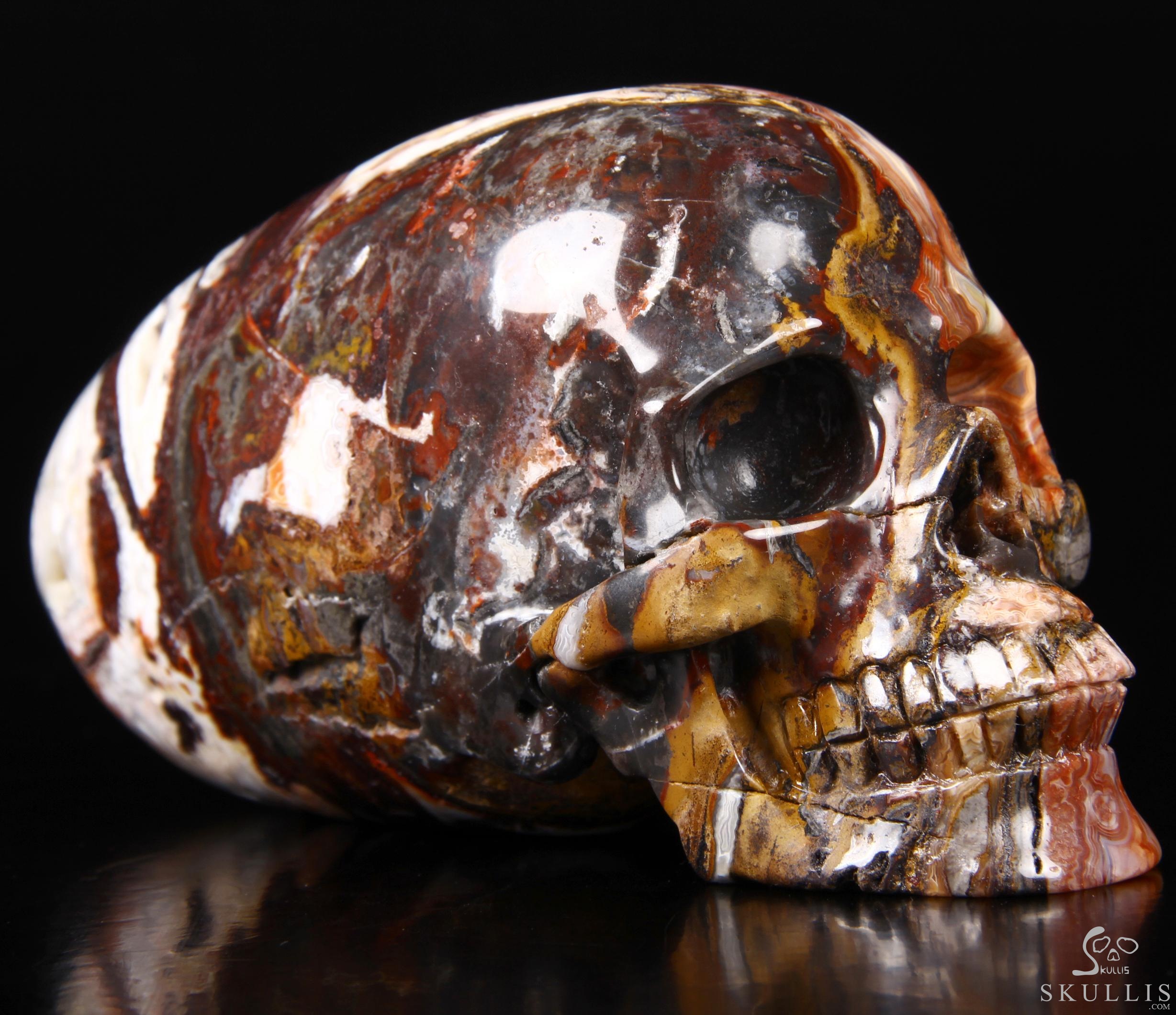 Stunning Huge 6.3" Crazy Lace Agate Carved Elongated Mayan Alien Crystal Skull, Crystal Healing Stunning Huge 6.3" Crazy Lace Agate Carved Elongated Mayan Alien Crystal Skull, Crystal Healing