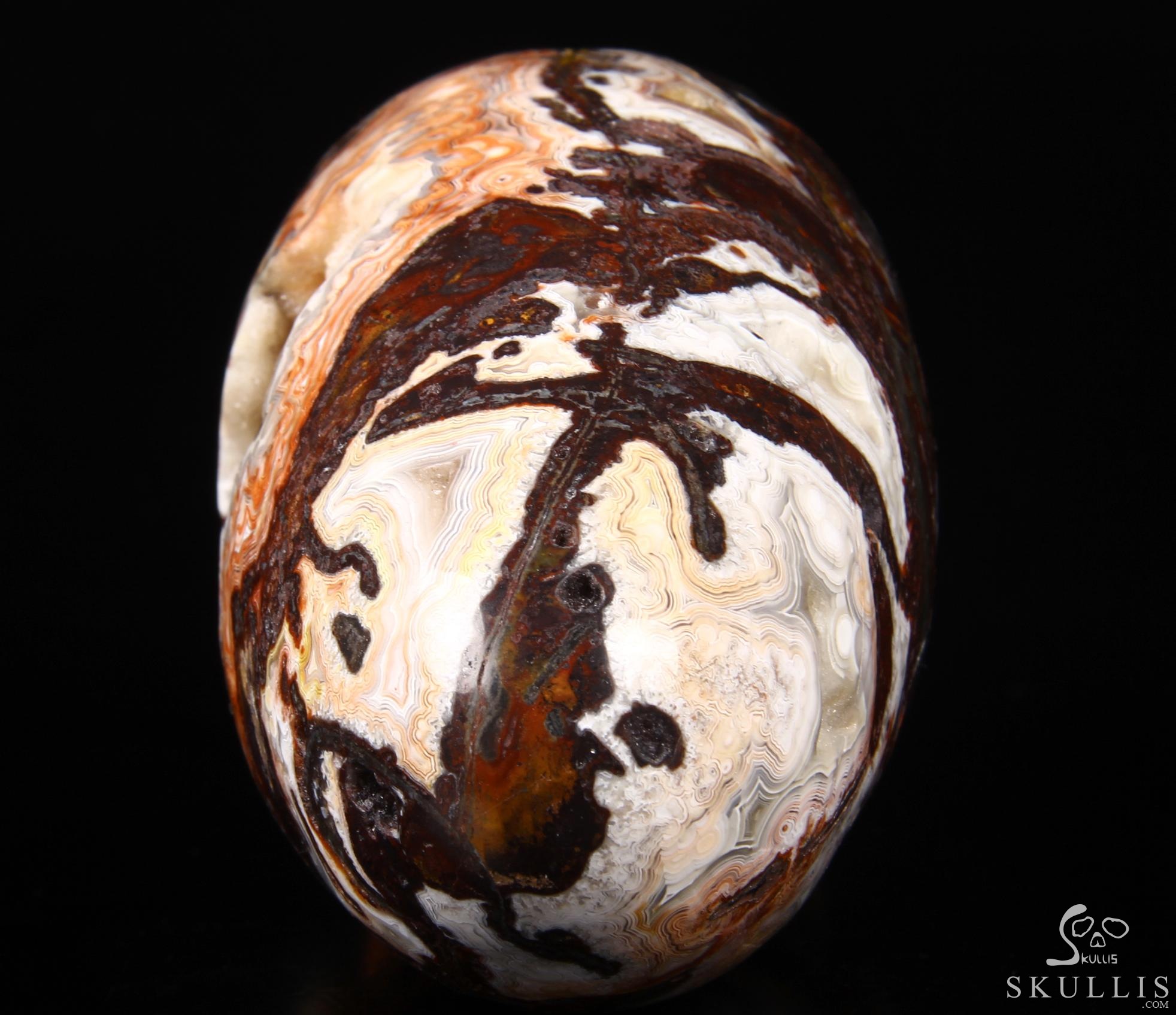 Stunning Huge 6.3" Crazy Lace Agate Carved Elongated Mayan Alien Crystal Skull, Crystal Healing Stunning Huge 6.3" Crazy Lace Agate Carved Elongated Mayan Alien Crystal Skull, Crystal Healing