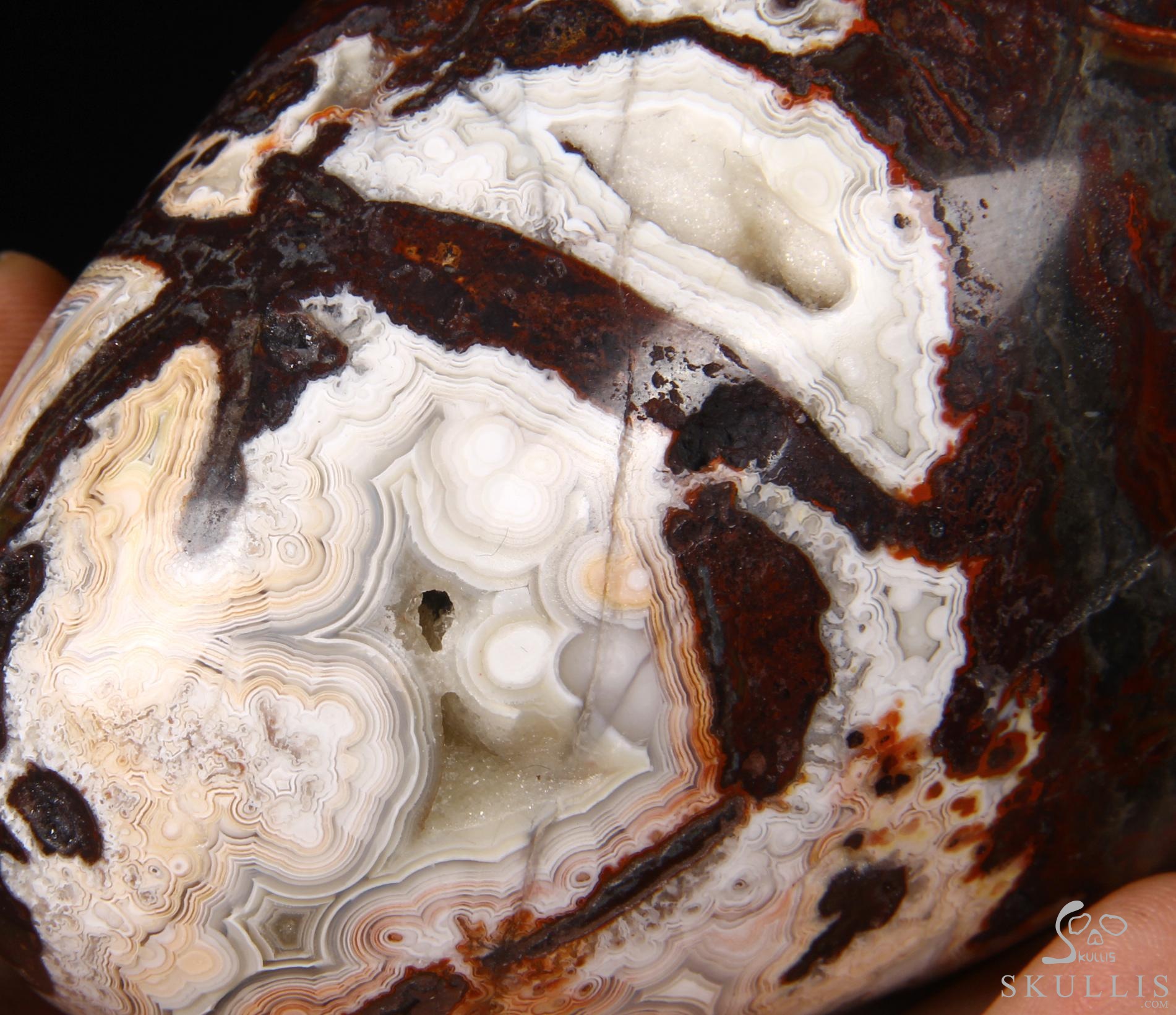 Stunning Huge 6.3" Crazy Lace Agate Carved Elongated Mayan Alien Crystal Skull, Crystal Healing Stunning Huge 6.3" Crazy Lace Agate Carved Elongated Mayan Alien Crystal Skull, Crystal Healing