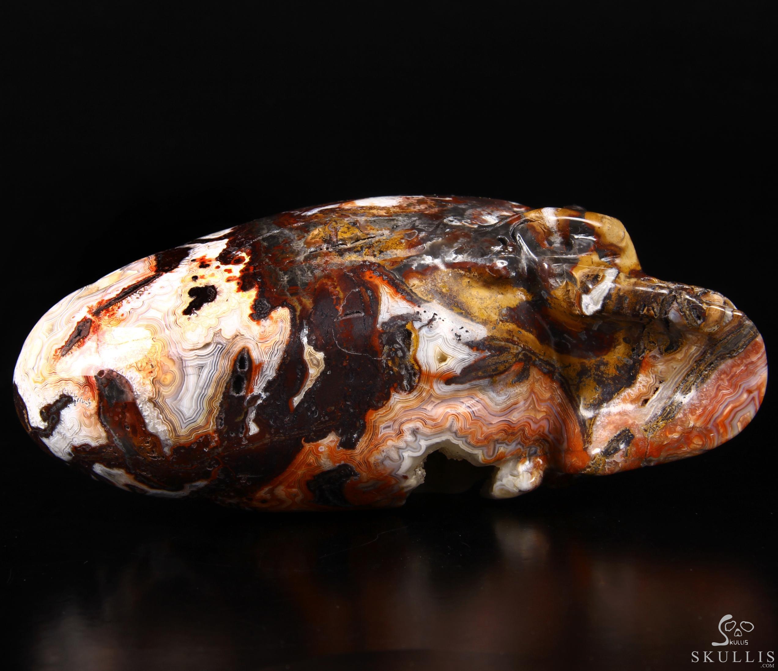 Stunning Huge 6.3" Crazy Lace Agate Carved Elongated Mayan Alien Crystal Skull, Crystal Healing Stunning Huge 6.3" Crazy Lace Agate Carved Elongated Mayan Alien Crystal Skull, Crystal Healing