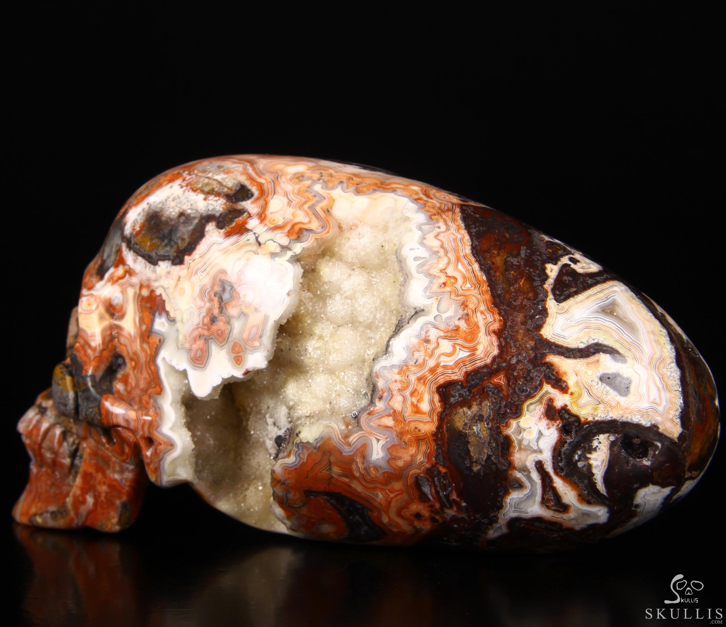 Stunning Huge 6.3" Crazy Lace Agate Carved Elongated Mayan Alien Crystal Skull, Crystal Healing Stunning Huge 6.3" Crazy Lace Agate Carved Elongated Mayan Alien Crystal Skull, Crystal Healing