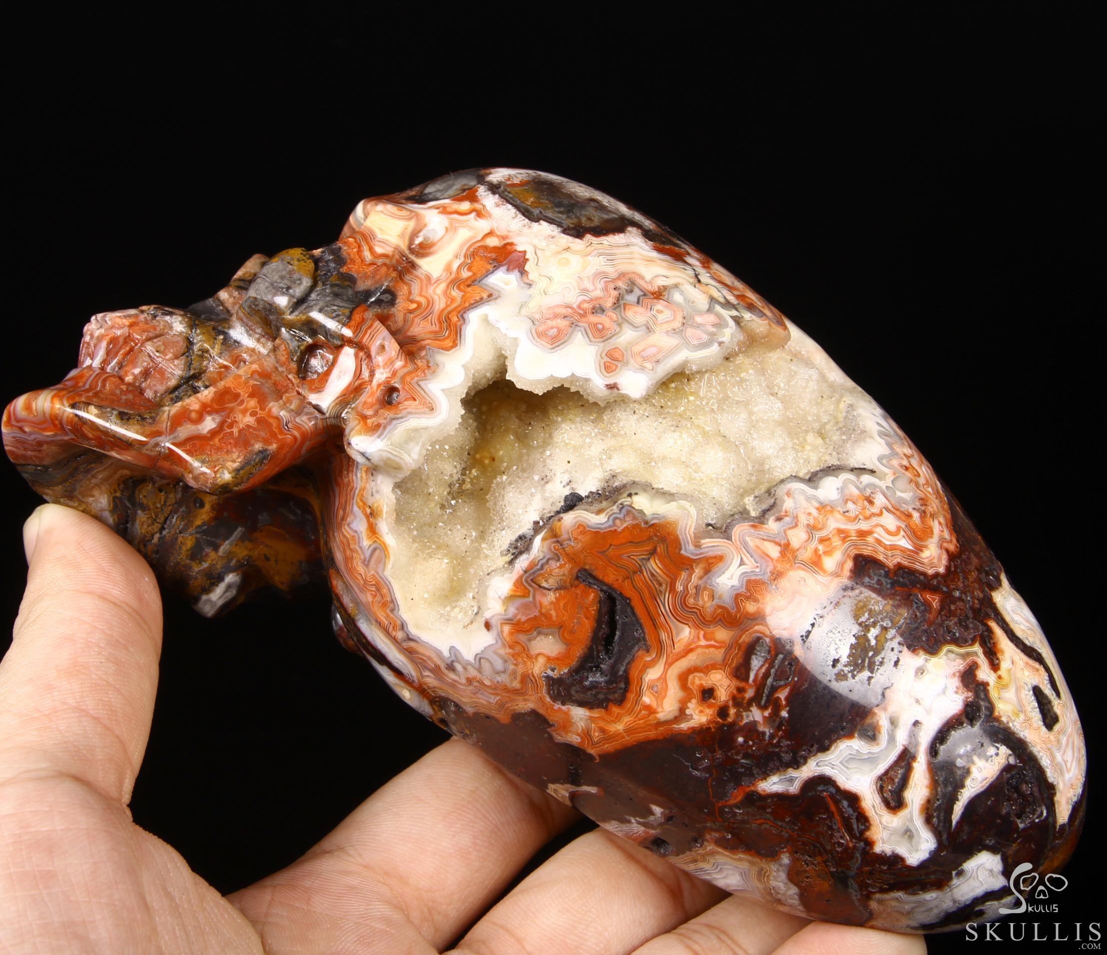 Stunning Huge 6.3" Crazy Lace Agate Carved Elongated Mayan Alien Crystal Skull, Crystal Healing Stunning Huge 6.3" Crazy Lace Agate Carved Elongated Mayan Alien Crystal Skull, Crystal Healing