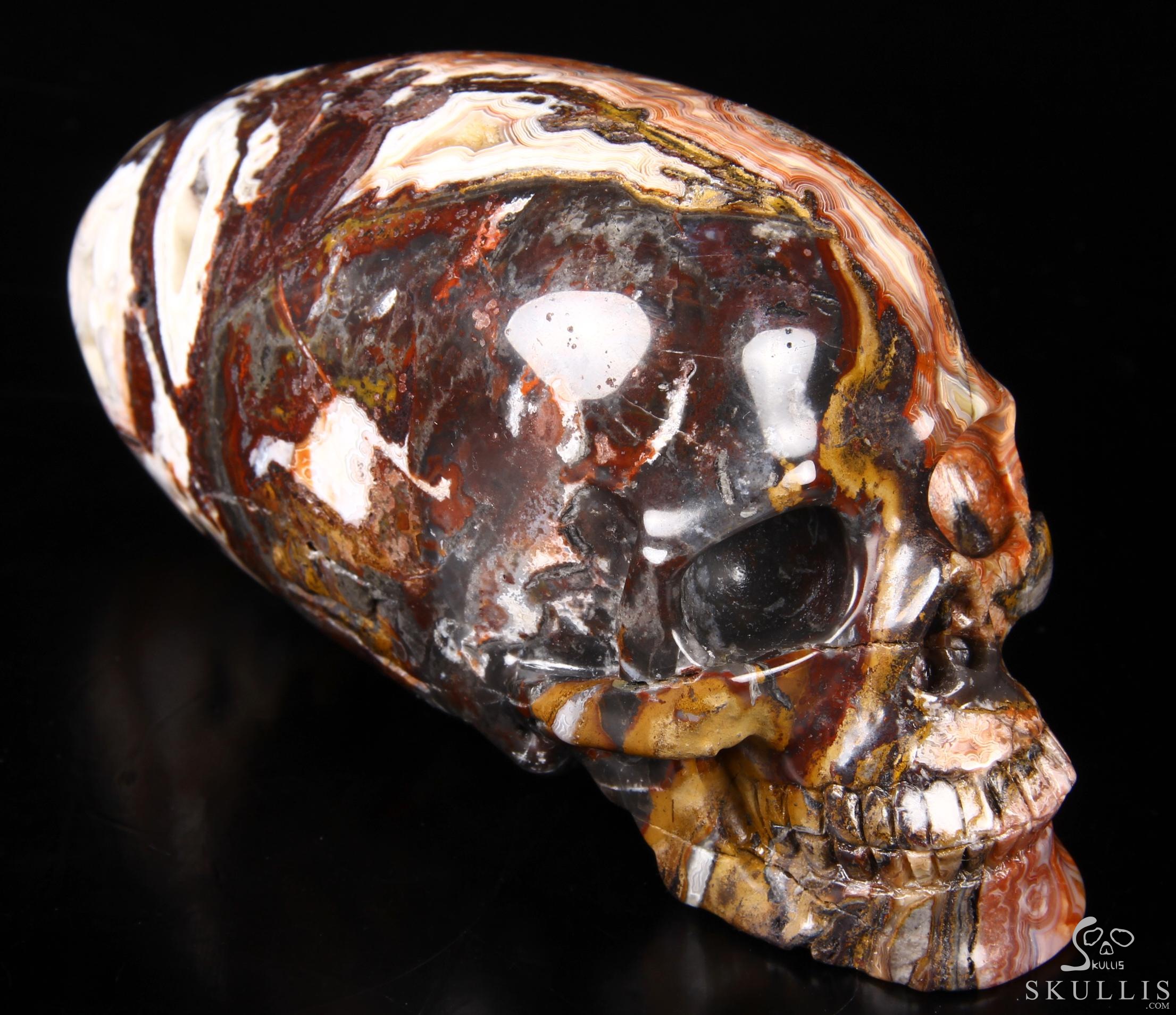Stunning Huge 6.3" Crazy Lace Agate Carved Elongated Mayan Alien Crystal Skull, Crystal Healing Stunning Huge 6.3" Crazy Lace Agate Carved Elongated Mayan Alien Crystal Skull, Crystal Healing