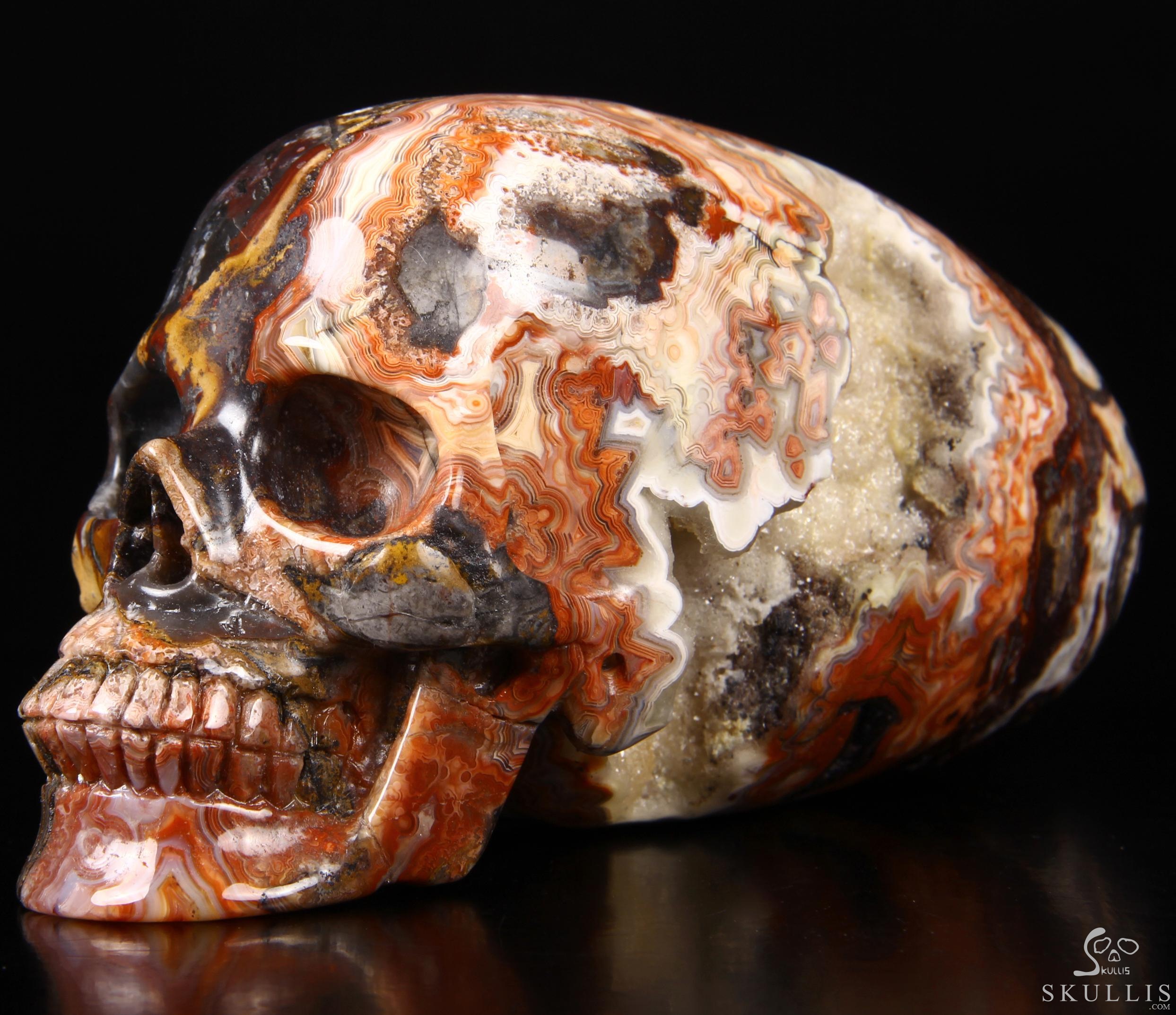 Stunning Huge 6.3" Crazy Lace Agate Carved Elongated Mayan Alien Crystal Skull, Crystal Healing Stunning Huge 6.3" Crazy Lace Agate Carved Elongated Mayan Alien Crystal Skull, Crystal Healing