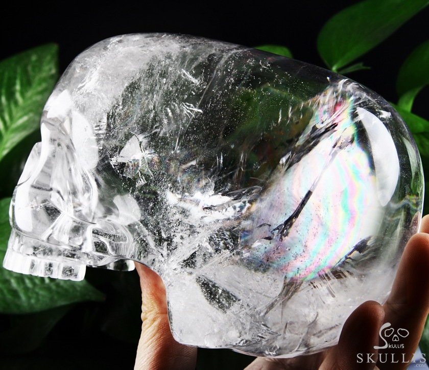 Clear 6.4" Quartz Rock Crystal Carved Crystal Mitchell-Hedges Skull, Realistic Clear 6.4" Quartz Rock Crystal Carved Crystal Mitchell-Hedges Skull, Realistic