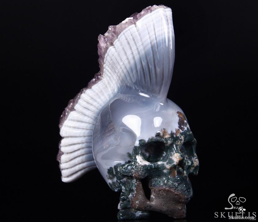 AMAZING DRUSE Giant 6.4" Agate Amethyst Carved Crystal Skull with Spine, Realistic AMAZING DRUSE Giant 6.4" Agate Amethyst Carved Crystal Skull with Spine, Realistic