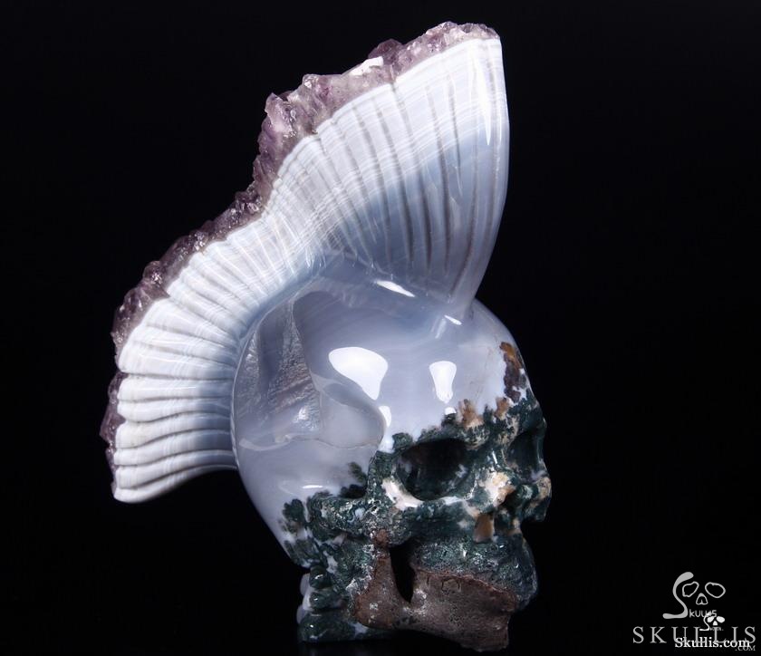 AMAZING DRUSE Giant 6.4" Agate Amethyst Carved Crystal Skull with Spine, Realistic AMAZING DRUSE Giant 6.4" Agate Amethyst Carved Crystal Skull with Spine, Realistic