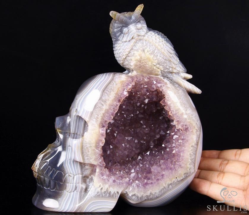 Lifesized 8.0" Amethyst Geode Agate Carved Crystal Skull with Owl Sculpture Lifesized 8.0" Amethyst Geode Agate Carved Crystal Skull with Owl Sculpture