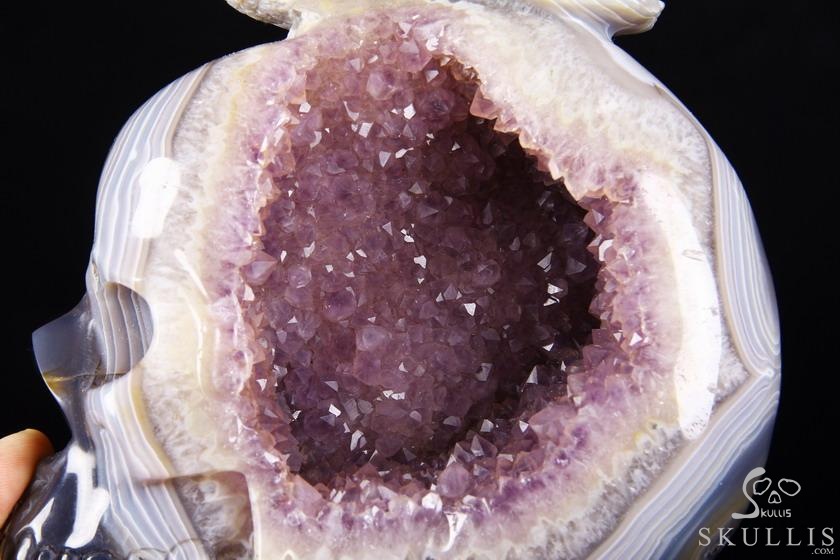 Lifesized 8.0" Amethyst Geode Agate Carved Crystal Skull with Owl Sculpture Lifesized 8.0" Amethyst Geode Agate Carved Crystal Skull with Owl Sculpture