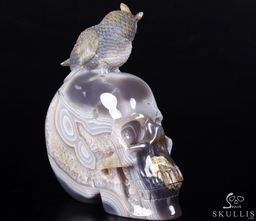 Lifesized 8.0" Amethyst Geode Agate Carved Crystal Skull with Owl Sculpture Lifesized 8.0" Amethyst Geode Agate Carved Crystal Skull with Owl Sculpture