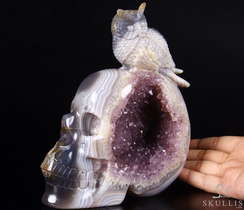Lifesized 8.0" Amethyst Geode Agate Carved Crystal Skull with Owl Sculpture Lifesized 8.0" Amethyst Geode Agate Carved Crystal Skull with Owl Sculpture
