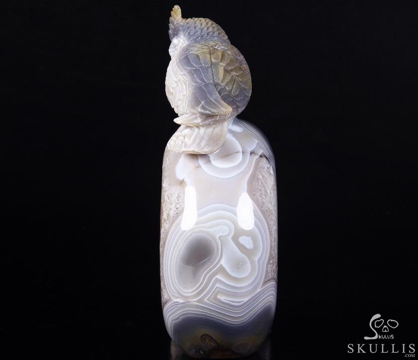 Lifesized 8.0" Amethyst Geode Agate Carved Crystal Skull with Owl Sculpture Lifesized 8.0" Amethyst Geode Agate Carved Crystal Skull with Owl Sculpture